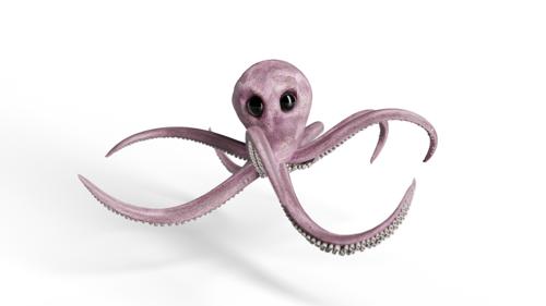 Rigged Octopus preview image